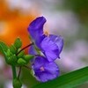 茶渋・・・