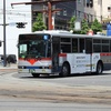 南国交通(元神奈川中央交通バス)　2194号車