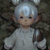 【5.55】俺の相棒について熱く語る「ファイナルファンタジー14」プレイ日記・28