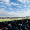 愛馬近況報告！パーカッション激走‼️今週はスマイルオンミーにビオグラフィアと大忙し😤