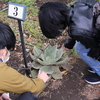 2022/03/26「野草さんぽ＠帰化植物見本園」