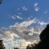 🌤️久しぶりの青空と朝ラン