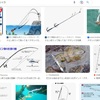 奴隷根性が染み込んだ日本の釣り人。