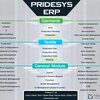 Brochures | Pridesys IT Ltd