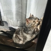 これは何でしょう？
