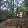 八木山峠明神坂　福岡県飯塚市八木山