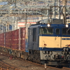 鉄道撮影　湘南ライナー　東海道線　大船－藤沢　鎌倉踏切