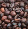 Exploring The Fantastic Health Benefits Of Cocoa Powder