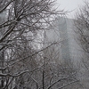 23, 12. 2014　雪の冬至
