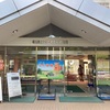 家形埴輪   埼玉県立さきたま史跡の博物館