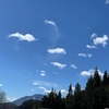 え？！昨日だったの春彼岸
