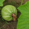 TRY瞑想 968日目