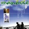  お正月もどうでしょう三昧