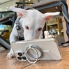 iPhone15 Pro Max