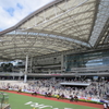 子どもと「阪神競馬場」へ遊びに行ってきました！遊び場として「阪神競馬場」は「あり」なのか？家族でお出かけレポート