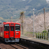 2025/03/29 桜が咲き始めた三角線を撮る