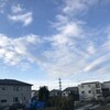 雲