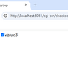 CGI::checkbox_group