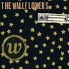 The Wallflowers
