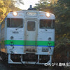 函館本線の大沼公園駅～赤井川駅周辺の撮影記録をご紹介【撮影地】【JR北海道】【キハ40】