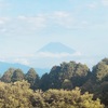 今朝の景色