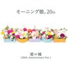 ハロプロ楽曲大賞2017もえぎの投票内容