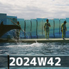 ショーがはじまるよ (2024W42)