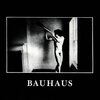 In The Flat Field/Bauhaus（1980）今日のTSUTAYA DISCAS日記。#167