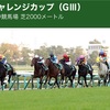 【11/30(土) ハルの競馬予想 〜チャレンジC(G3)他〜 】