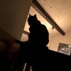 枕元の黒い影