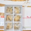 名古屋栄三越 菓遊庵　芳光 わらび餅