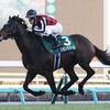 競馬初心者必見☆馬券予想🔥〜中山金杯〜内枠有利のレース！