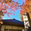 【茨城・桜川市】薬王寺の紅葉2023！現在の様子と今年の見ごろはいつ？