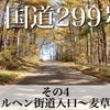 【車載動画】国道299号 全線走破！その4 (メルヘン街道入口〜麦草峠) 