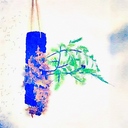 nature日記
