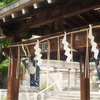 焼酎はなんだか体の疲れが取れる気がする。