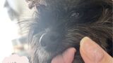 ゲラゲラBaby怪獣と21歳叔母の【高いたかぁ〜い🎵】solaは見守り隊