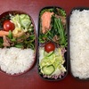 今週のお弁当