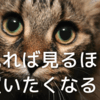 何度も何度もお客様のところに足を運べば、契約が取れやすくなるのか?!