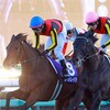 2024年有馬記念：冬空に輝いた新星レガレイラの栄光