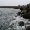 屋久島３日目釣り～ペンションスカイビュー