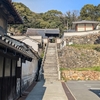 日々雑感（全粒粉が身体によいとは限らない）