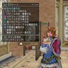 【ドラクエ10】今ルーラ石登録先はどうしてる？　Ｖｅｒ3.3後期編