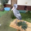【島根2日目】西洋軒のカツライスに松江フォーゲルパークで癒しの鳥体験する旅飲み！