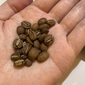 浅煎りコーヒーと逆流性食道炎