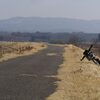 春陽気の自転車道で、リカちゃんに出会った！