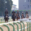 育成馬ブログ　宮崎③