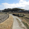 歩き旅のスケッチ［山の辺の道］５・・・円照寺へ