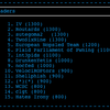 DEFCON19 CTF quals3