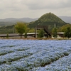 花追い旅：Flower  village  花夢の里 ⑫（広島県世羅郡世羅町）